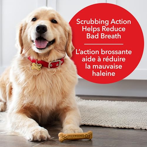Milk-Bone Brushing Chews Dental Dog Treats, Chicken Flavour Dental Chew, Helps Clean Teeth and Reduce Bad Breath, For Large Dogs, 18 Treats (Pack of 1) image 2