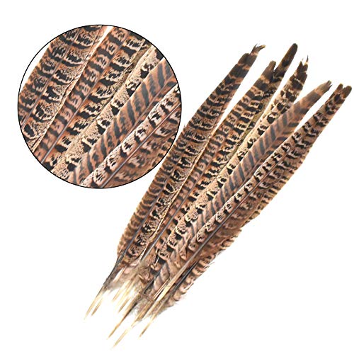 Skyzone 10 Piezas de Plumas de faisán Naturales, Colas de faisán y 10 Plumas de Pavo Real Naturales Reales para Sombreros de Pelo, Manualidades para Manualidades, decoración de Bodas en el hogar