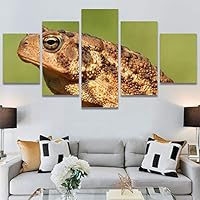 SIGNWIN 5 Panel Canvas Wall Art Modern Art Chic Expressive Frog Multicolor Photography Reptiles Snakes for Home Decorations Ready to Hang - 60
