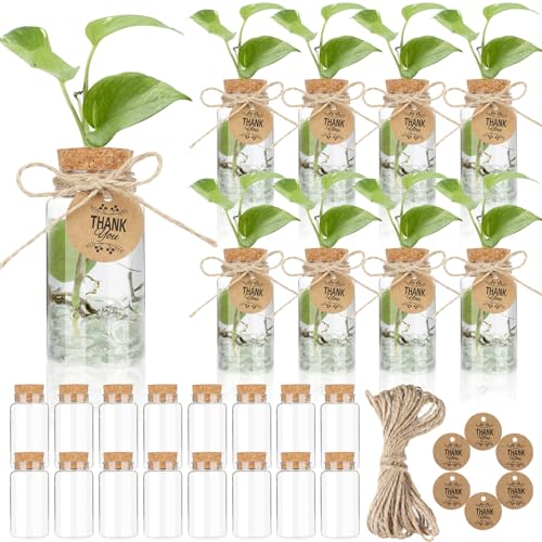 Ysglory 24 Pack 3.54 Plant Propagation Stations 4oz Plastic Propagation Jars Planter Hydroponic Vase with Hole Lid and Thank You Tags for Plant Lovers Office Home Garden