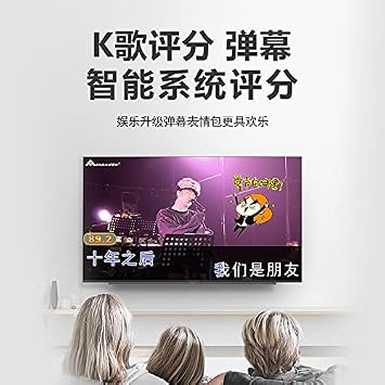 InAndOn KTV System, 18.5 inch Touch Screen Karaoke Machine, Real-time Score, YouTube, iCloud Song Update, Wireless Mic KTV Player Fit for Bar Home Party, 6T