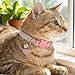 Gtziqa 2 Pack Rhinestone Kitten Collar with Bell, Cat Collar with Rhinestone Bell, Adjustable Soft Fancy Bling Safety Cute Comfy Diamond Collars for Tiny Cats, Small Dogs, Rabbits (Pink, Black)