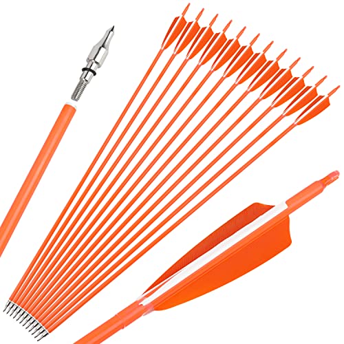 surwolf 31' Carbonpfeile Bogenschießen Jagdpfeile 500 600 Spine mit Feder Fletched Target Übungspfeile für Bogenschießen Compound & Recurve & Langbogen 6/12 Stück (12, orange, Spine 600)