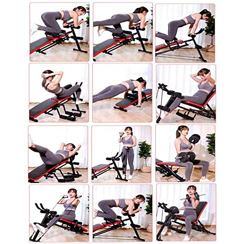 Rowing Machine Strengths and Trade-Offs