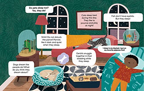 I Sleep in My Big Bed (Early Learning)