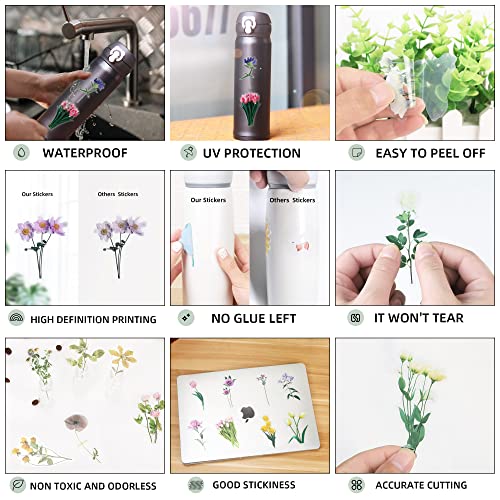 Molshine WT-325-6 240Pcs Pet Transparent Decoration Stickers Flowers Plant Series Decals thumb #3