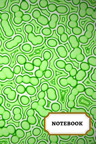 Student Lab Notebook: Laboratory Notebook for Science Student College ...