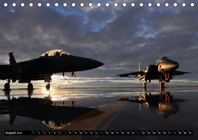 Kampfjets • U.S. Aircraft (Tischkalender 2016 DIN A5 quer): Die moderne Luftwaffe der USA (Monatskalender, 14 Seiten) (CALVENDO Technologie)