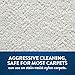 Prochem Dry Slurry Professional Cleaning Concentrate Detergent Powder for Carpet, 6 Lb Jar (Pack of 4)