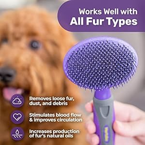   Hertzko-Dog-Brush-Soft-Pin-Bristle-Pet-Brush-for-Dogs-and-Cats-Remove-Fur-Loose-Hair-Comb-for-Grooming-Dog-Brush-for-Long-Haired-Dogs-and-Short-Haired-Dogs-Cats-Rabbits-Deshedding-Tool