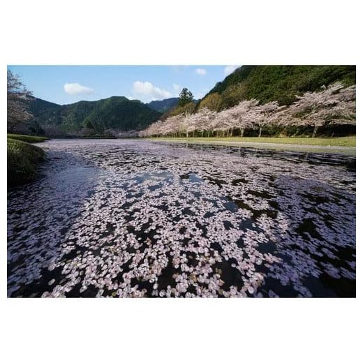 Sony FE 12-24mm F4 G Wide-Angle Lens