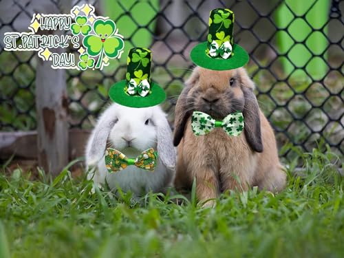 Disfraz de conejo para perro pequeño St. Patrick miniatura 6