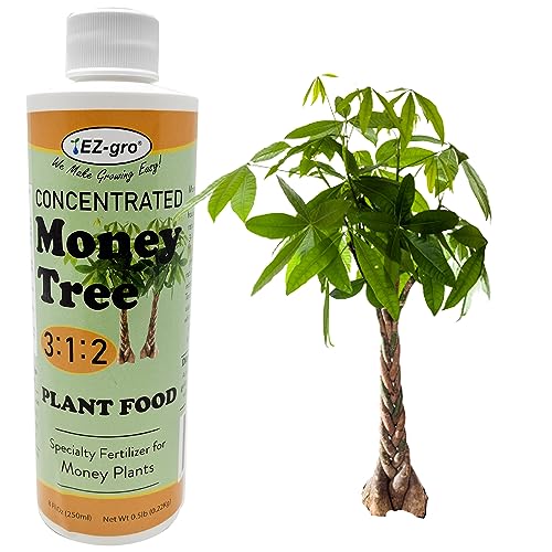 EZ-GRO Professional Liquid Money Tree Fertilizer