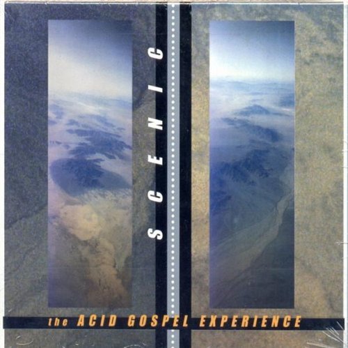 Acid Gospel Experience by Scenic Music CD