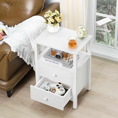 Lerliuo White Night Stand, Small Nightstand with 2 Wood Drawers and Storage Shelf, Modern Bedside Table with Wooden Frame, Rustic Couch Nightstand for Small Spaces, Narrow End Tables for Bedroom