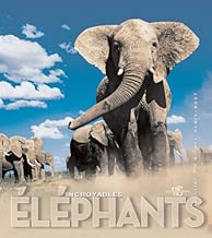 Download Incroyable éléphants PDF
