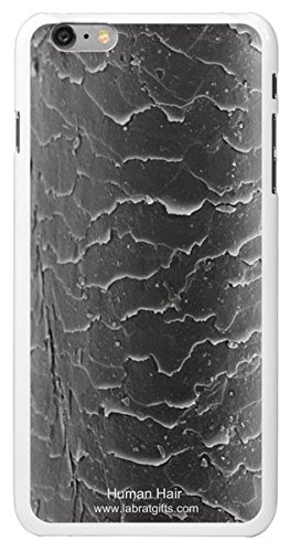 Amazon.com: Lab Rat Gifts IPP6010CASE Plastic Amazing Exclusive SEM ...