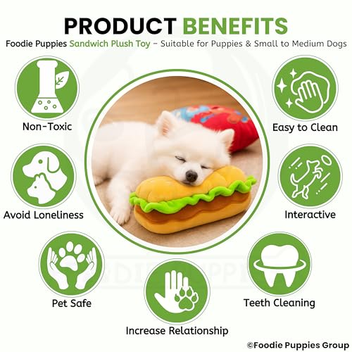 Image of Foodie Puppies Dog Squeaky Plush Toy - (Sandwich) | Durable, Bite-Resistant & Soft Stuffed Chew Toy | Safe, Fun & Interactive for Playtime, Dental Exercise & Teething for Small to Medium Dogs (5cm)