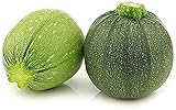 20 Piezas Calabacín Semillas Vegetales Cultivados En Interiores Al Aire Libre Semillas Para Jardinería Vegetales Calabacín Variedades Redondas Decoración Ornamental Jardines Domésticos