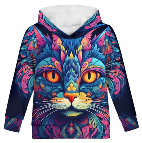 Boys Girls Novelty Cat 3D Print Graphic Hoodie Hooded Sweatshirts Animal Pullover Hoodies