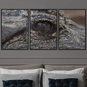 signwin 3 Piece Framed Canvas Wall Art Alligators...