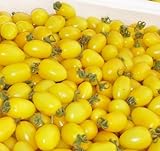 de alto rendimiento de pequeñas semillas de tomate amarillo 200pc, semillas de frutas sabrosas y exóticas