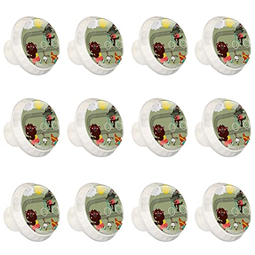 Boutons de placard de cuisine originaux pour relooker armoire et commode