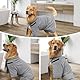 Bademantel Hund, Hundemantel, Bauch Anpassbarer, Graues Hundebademantel für Große Hunde, Ultraleicht Absorbierend, Tuch zum Trocknen, Schnell Trocknend, Innen- & Außenverwendung. XXL