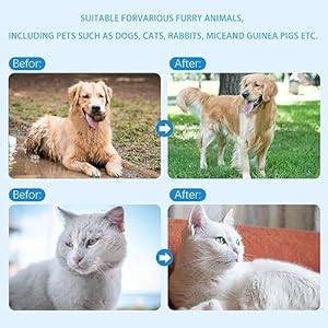 Unscented-Extra-Thick-Pet-Cleaning-Wipes-for-Dogs-CatsDog-Washing-Bathing-Deodorizing-Grooming-Gloves-for-Daily-Care-and-Traveling-with-EDI-Water-Tea-Tree-and-Aloe-Extract-6 - Cucciolini Doodles   Unscented-Extra-Thick-Pet-Cleaning-Wipes-for-Dogs-CatsDog-Washing-Bathing-Deodorizing-Grooming-Gloves-for-Daily-Care-and-Traveling-with-EDI-Water-Tea-Tree-and-Aloe-Extract-6