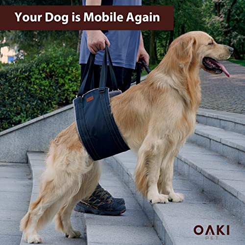 Dog Lift Harness To Aid Elderly Dog’s Back Legs - Support Your Dog’s Mobility With Rear Leg, Hips And Back Support - Mesh And Fleece Dog Sling Makes Lifting & Walking Easier And More Comfortable #TOP3