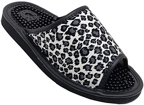 [gN}] { a a ԕ qE Aj} fB[X NT_ NXbp  ubN (D, {̌C̃TCY@, l, At@xbg, M)