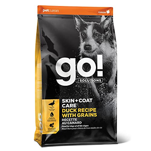 1. Feed Your Pup Right Discover the Top 10 Skin and Coat Dog Foods