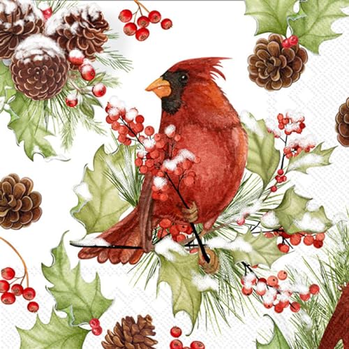 Christmas Party Napkins | 2 Packages of 20CT Cocktail Napkins, Cardinals in Holly Design