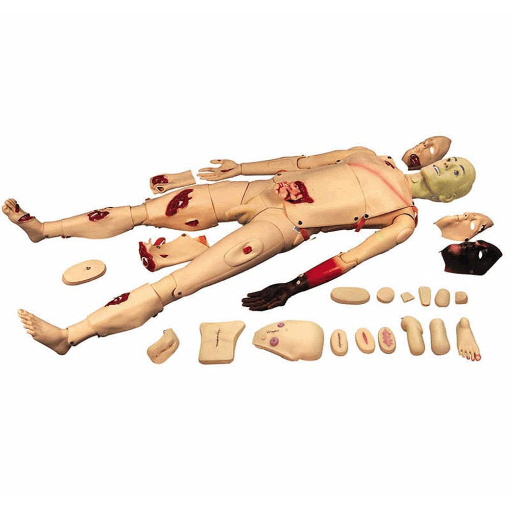 Maniquí de trauma de función completa para entrenamiento médico de enfermería, educación docente, suministros médicos