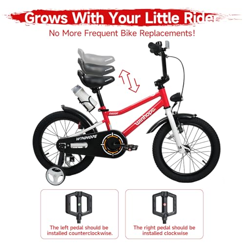 Image of WinHope Kids Bike with Headlight, 12-20 Inch Pedal Bike for 2-12 Boys Girls | Dual Brake with Training Wheels Water Bottle for Summer Outdoor Riding Birthday Gift for Toddlers