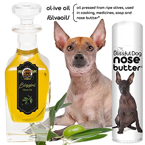 Image of The Blissful Dog Xoloitzcuintli Nose Butter - Dog Nose Butter, 0.50 Ounce