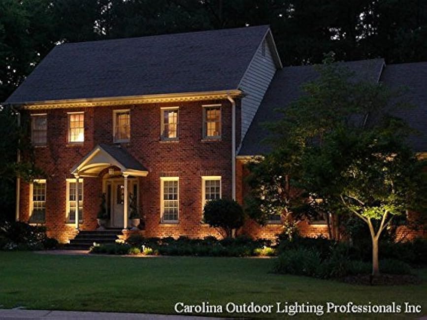 LemonBest? High Power Outdoor Decorative Lamp Lighting 5W COB LED Landscape Garden Wall Yard Path Light Warm Cool White DC 12V w/Spiked Stand, Pack of 2 (Warm White)