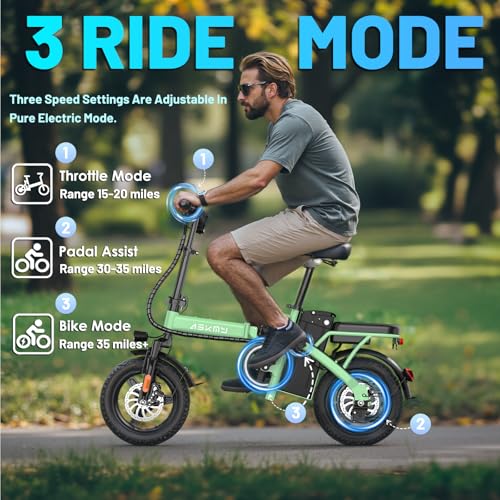 Folding Electric Bike 14