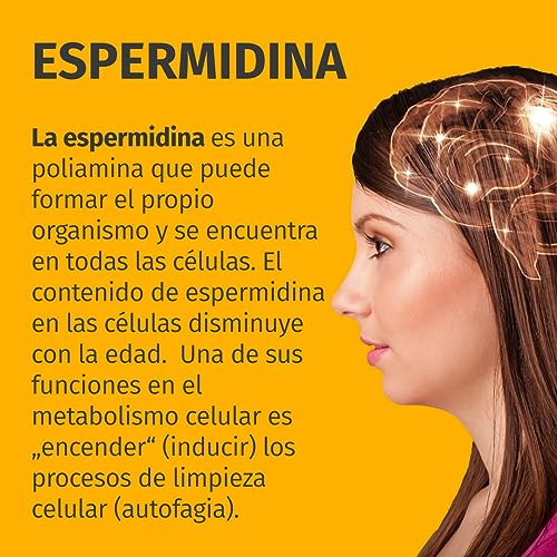 Espermidina 1,6 mg (240 cápsulas de 800 mg) - 1,6 mg por dosis diaria - de fabricación alemana - 100% vegano y libre de aditivos - suministro para 2 meses - Green Naturals®