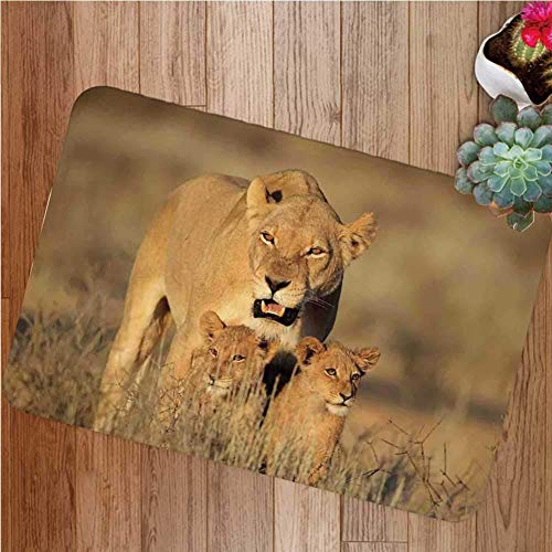 Safari Decor Respaldo de goma Alfombrillas antideslizantes, mamá leona y jóvenes reyes leones en...
