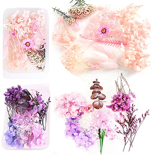 Fleur Sèche Naturelle, 2 Boîte Bouquets Fleurs Séchées, Artisanat Floral, Feuilles Pétales Fleurs Faits Main, pour Résine, Scrapbooking, Fabrication Bijoux Pendentif Artisanat (Rose, Violet) Cover
