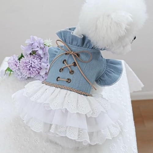 [SeitenFB]ybgptHs[X Lp fjXJ[g t   Xibv{^ Ȃ ^ ^p ybg XL