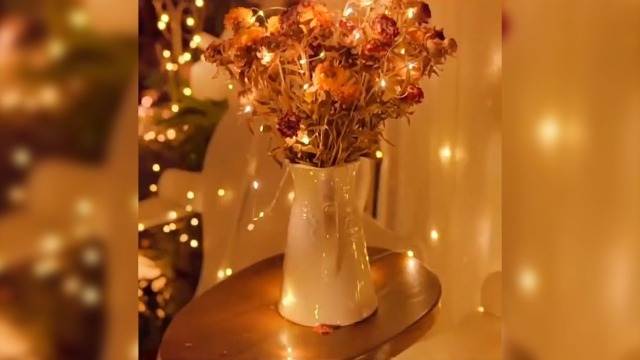 Lot De 15 Guirlandes Lumineuses LED à Piles, 2 M/20 Mini