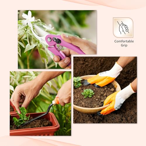 Image of Amazon Brand - Solimo 7-Piece Gardening Tool Kit | Cultivator, Fork, Trowels, Weeder, Garden Gloves, Pruner Cutter | Indoor & Outdoor Gardening Tool Kit