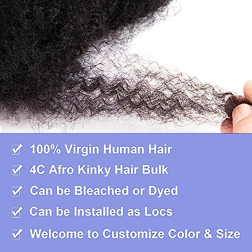 Originea Afro Kinkys Bulk Human Hair for Dreadlocks and Twist Braiding 1 Pack 100% Human Hair Soft Afro Kinky Curly Hair Bulk for Dreads Natural Black Color (10 Inch) - Image 2