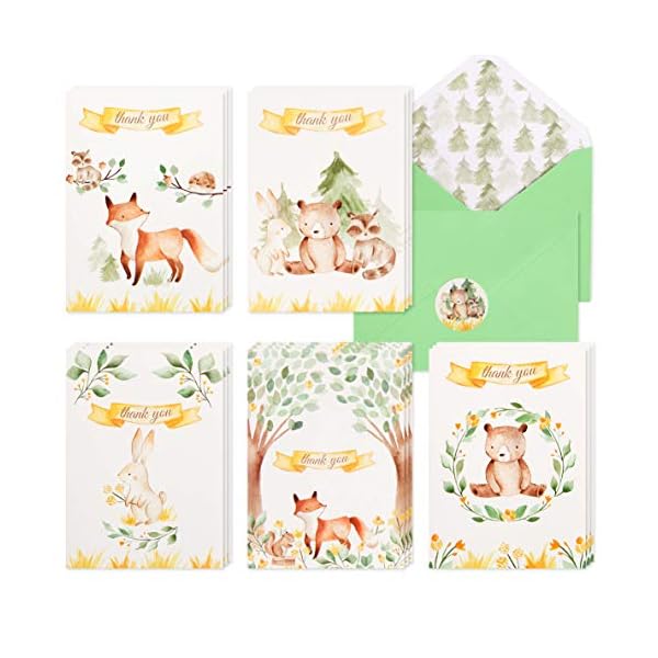 30 Dankeskarten mit Waldmotiven | Großpackung Wald & Bergtiere Dankeskarten mit passenden grünen Umschlägen & Aufklebern…