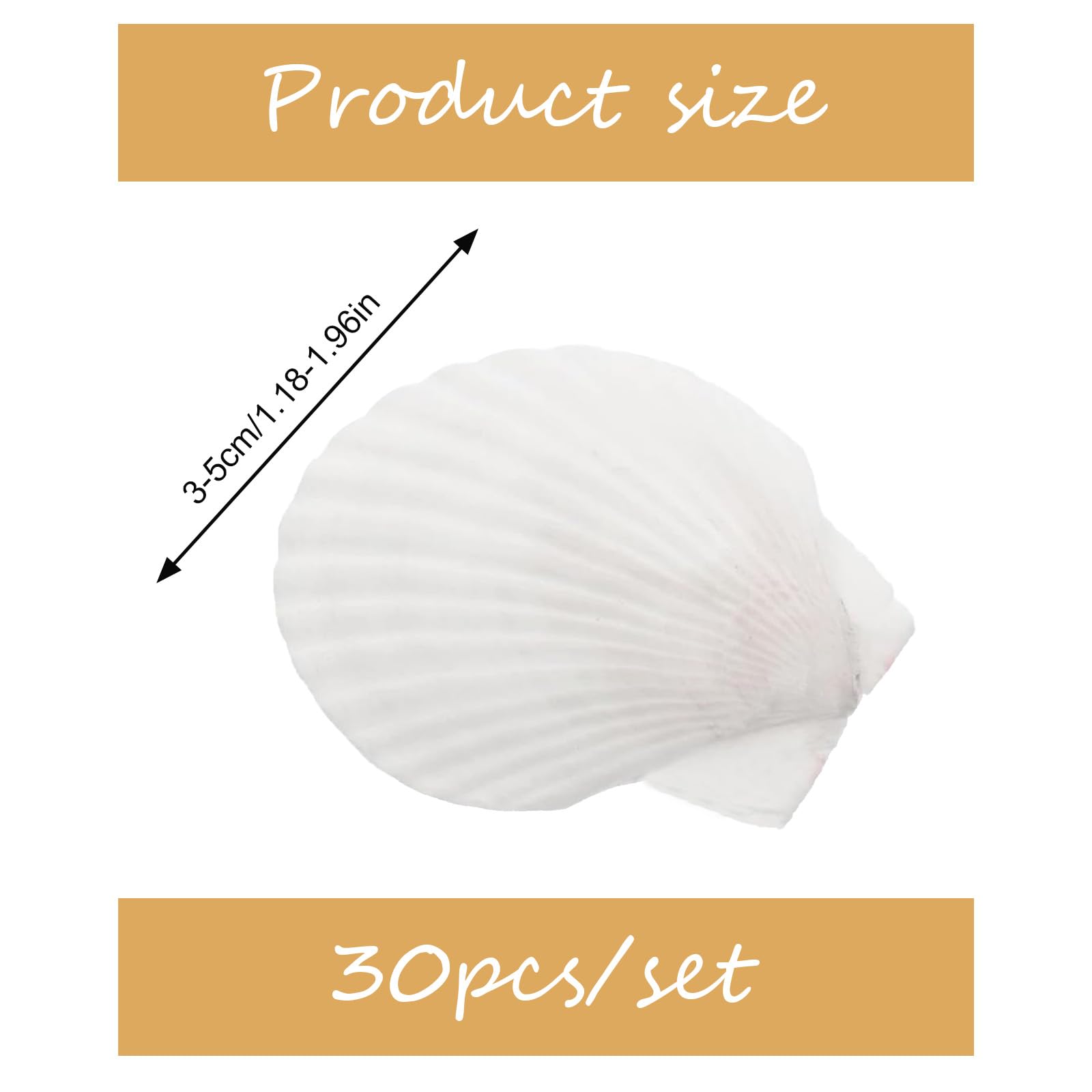 30 sztuk muszli małża 3-5 cm Prawdziwe muszle do rękodzieła, malowania, naturalne muszelki do dekoracji morskiej, akwarium, ślub