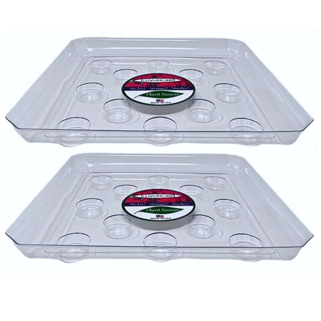 ILUVUMOREI 2-Pack of 12-Inch Heavy Gauge Footed Square Carpet Saver Saucer, Clear