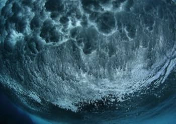 杏橋幹彦　写真集　BLUE FOREST　希少DVDセット 杏橋幹彦 写真集 BLUE FOREST 希少DVDセット - メルカリ