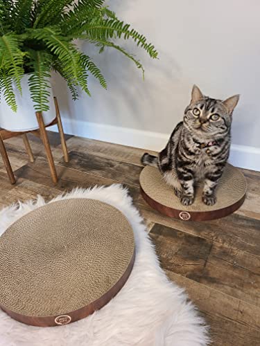 Image of Necoichi Cat Scratcher Bowl Replacement for Indoor Cats - Cat Scratching Lounger with Reversible Usability and Extra Comfort for Lounge, Cardboard Bed Couch / (XL, Dark Cherry)